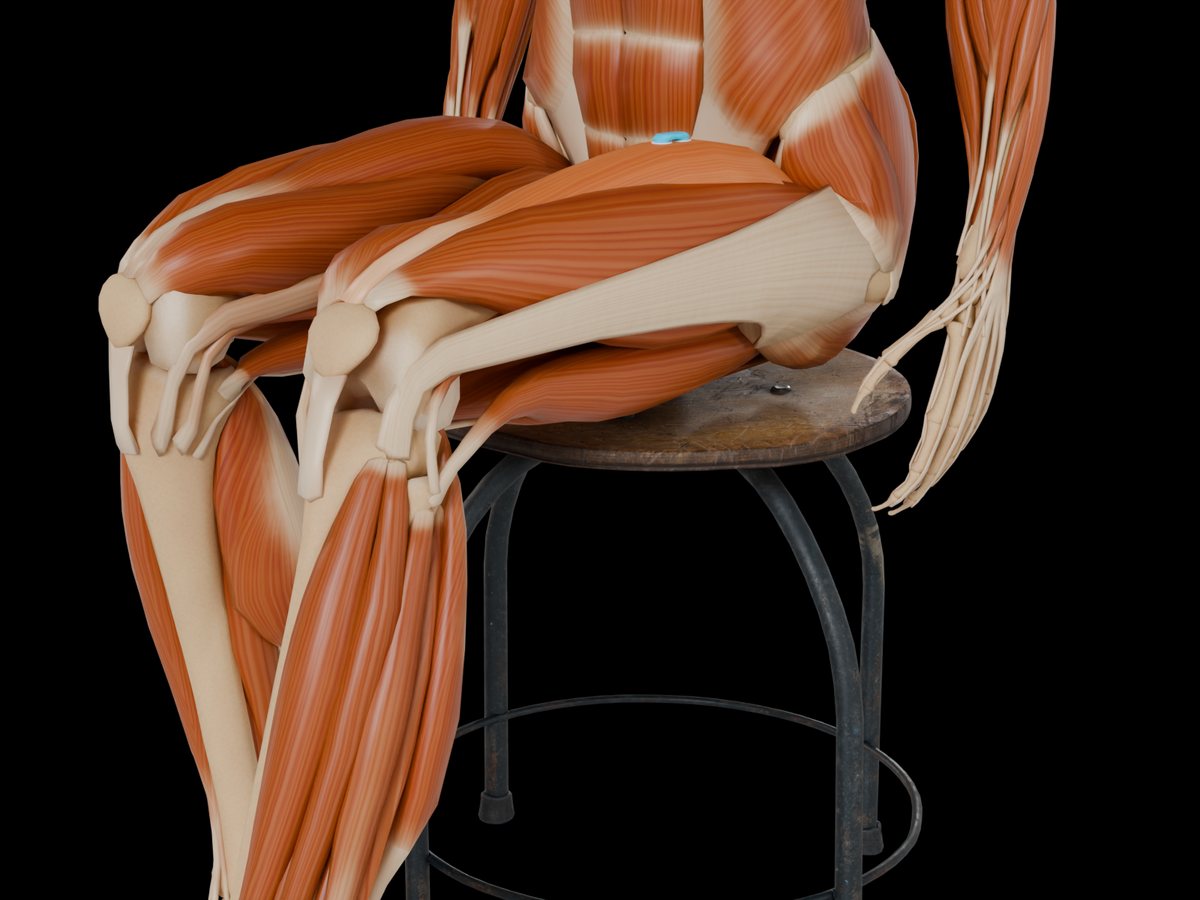 Detail: sensor on the M. Vastus Medialis