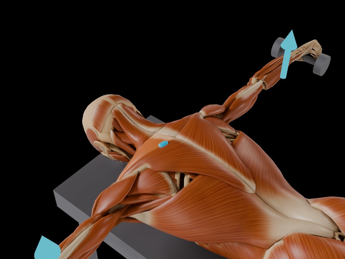 Detail: Sensor auf dem M. Trapezius Pars Transversa